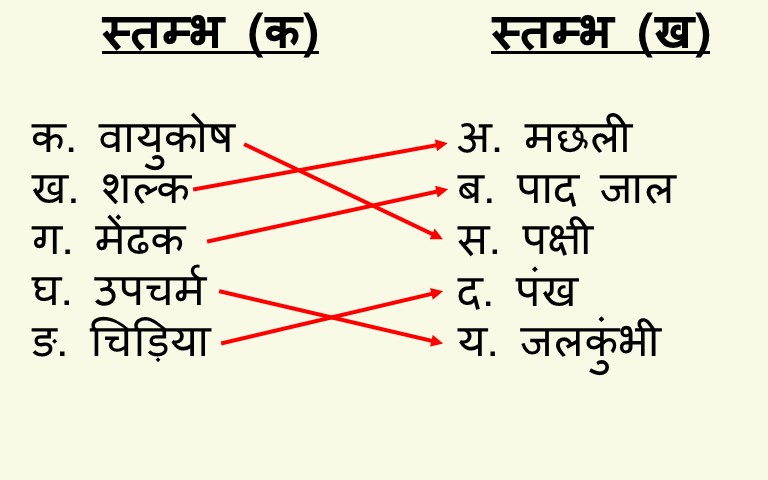 विज्ञान कक्षा 6 इकाई 7 जीवों मे अनुकूलन मिलान करो.jpg विज्ञान कक्षा 6 इकाई 7 जीवों मे अनुकूलन मिलान करो.jpg