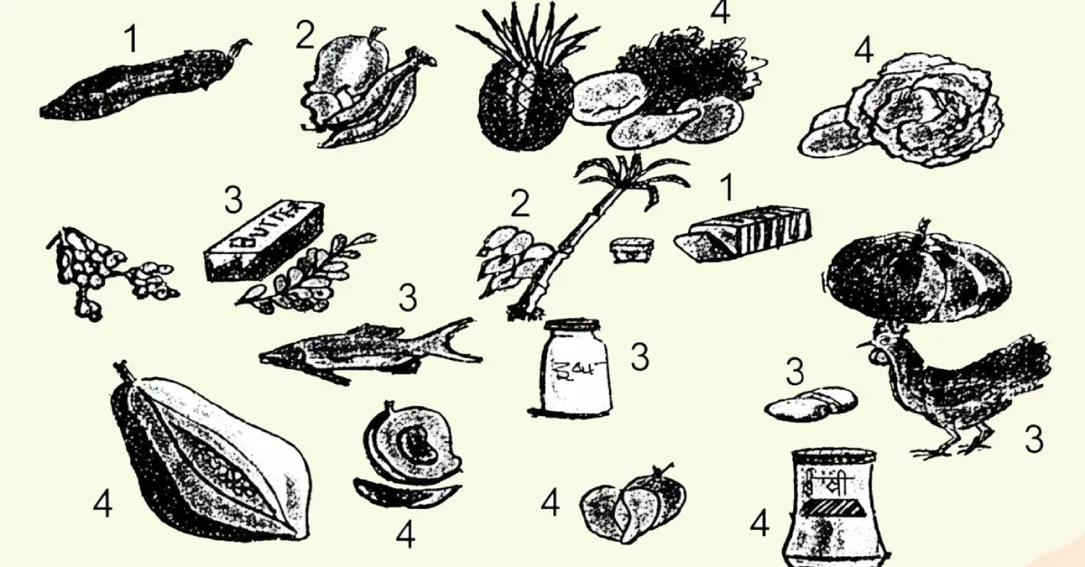 विज्ञान कक्षा 6 इकाई 9 भोजन एवं स्वास्थ्य खाद्य पदार्थ और पोषक तत्व उत्तर विज्ञान कक्षा 6 इकाई 9 भोजन एवं स्वास्थ्य खाद्य पदार्थ और पोषक तत्व उत्तर