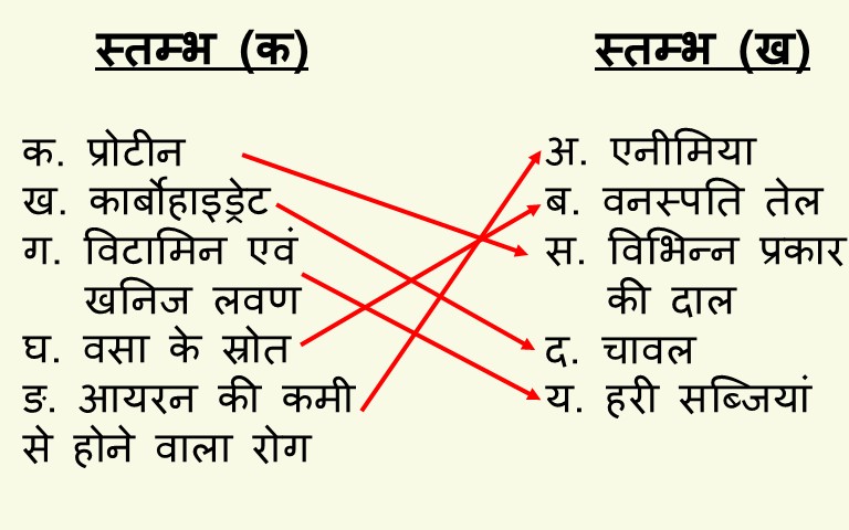विज्ञान कक्षा 6 इकाई 9 भोजन एवं स्वास्थ्य मिलान करो विज्ञान कक्षा 6 इकाई 9 भोजन एवं स्वास्थ्य मिलान करो