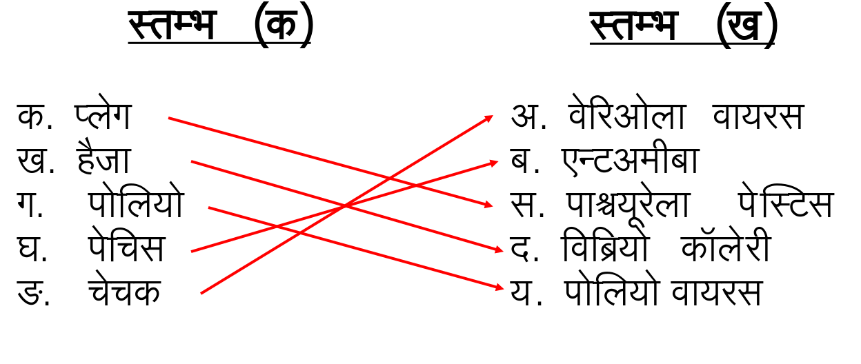 विज्ञान कक्षा 7 इकाई 13 भोजण, स्वास्थ्य एवं रोग मिलान करो
